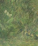 Vincent Van Gogh Two White Butterflies (nn04) France oil painting artist